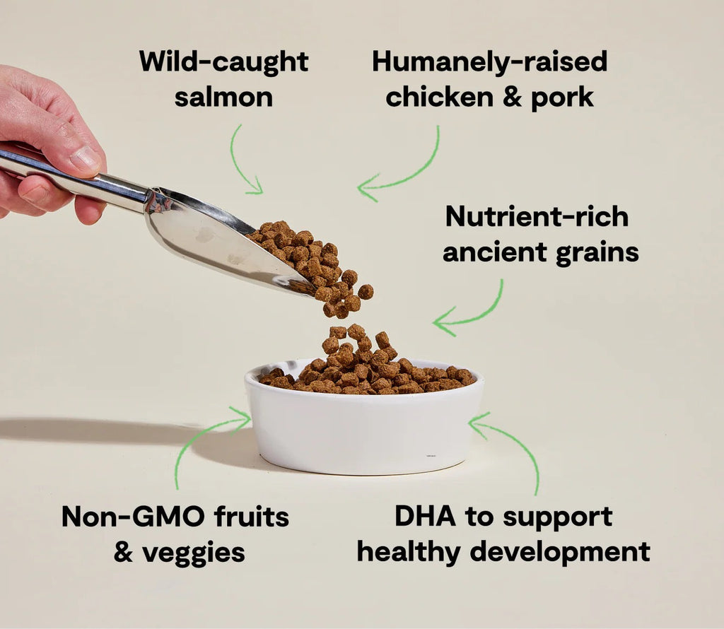 Puppy Dry Dog Food with Salmon, Chicken & Ancient Grains