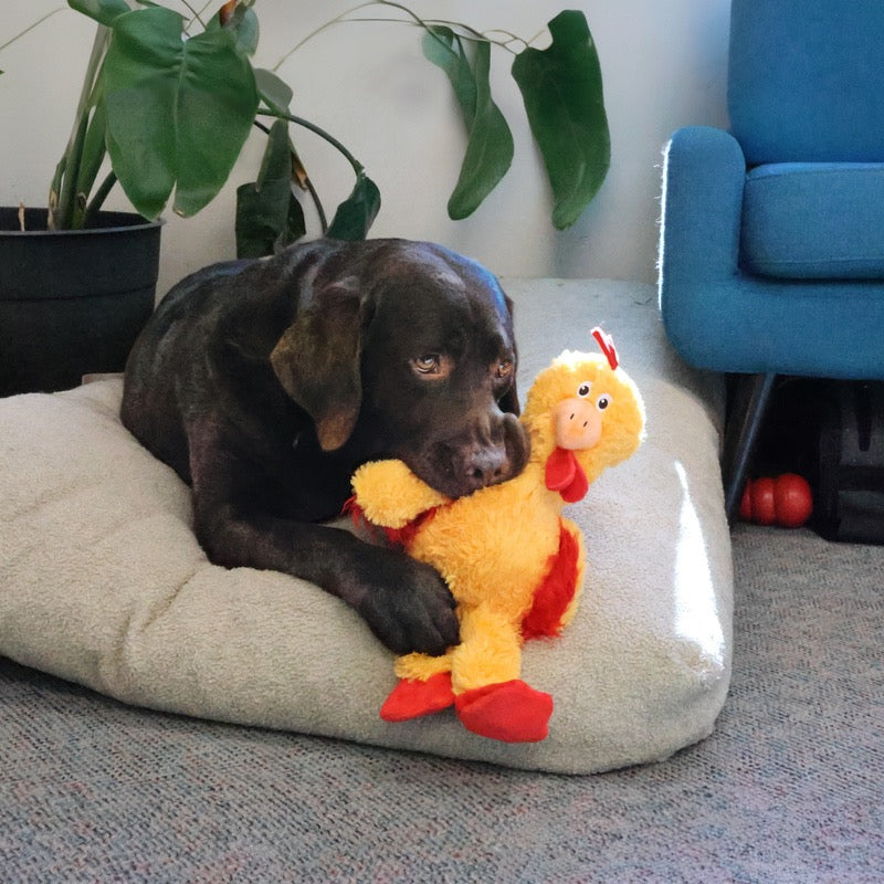 Plush Chicken Dog Toy with Knotted Rope Skeleton and Squeakers