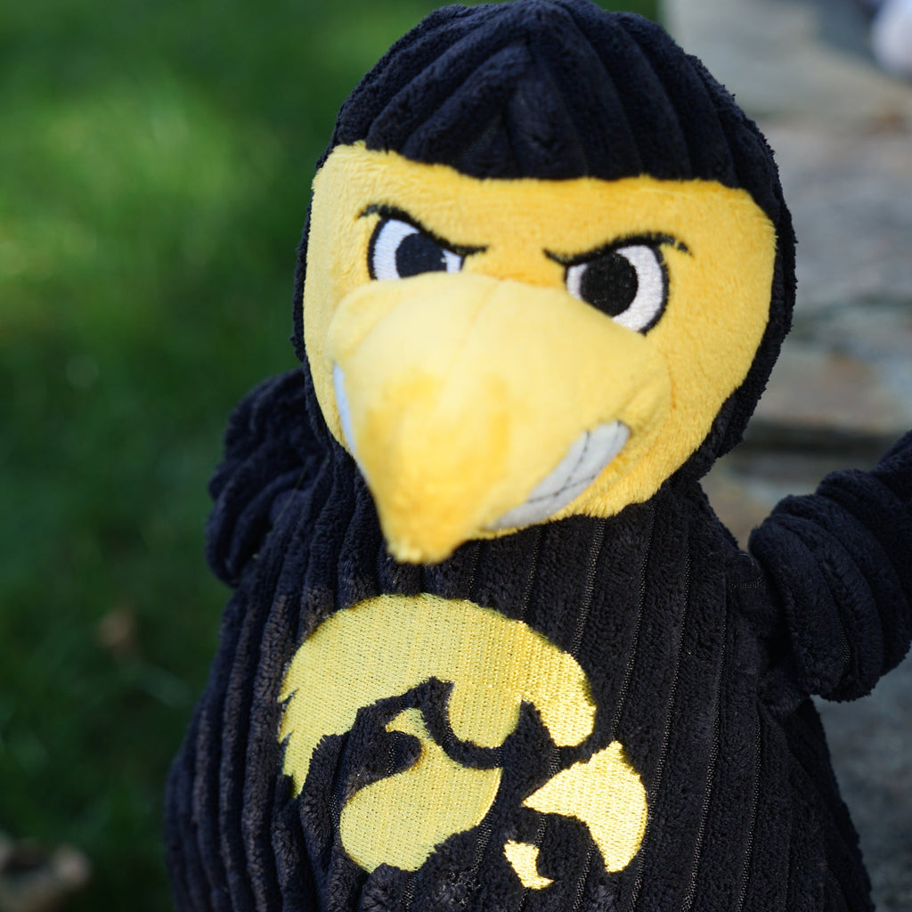 University of Iowa Herky the Hawk Plush Dog Toy