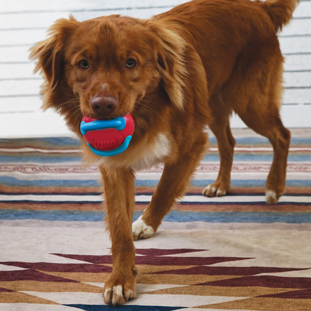 KONG Jaxx Brights Tug Ball Dog Toy with Rope Handle