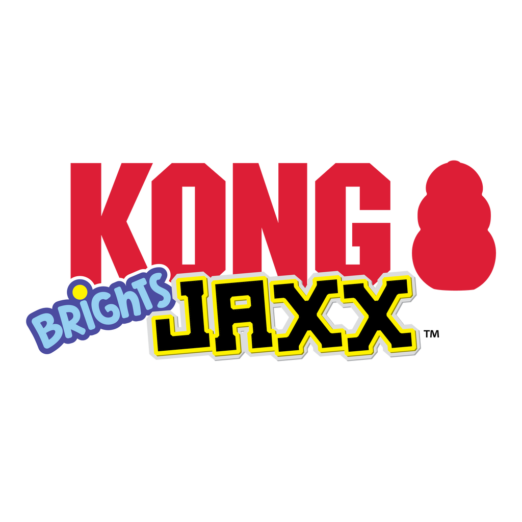 KONG Jaxx Brights Tug Ball Dog Toy with Rope Handle