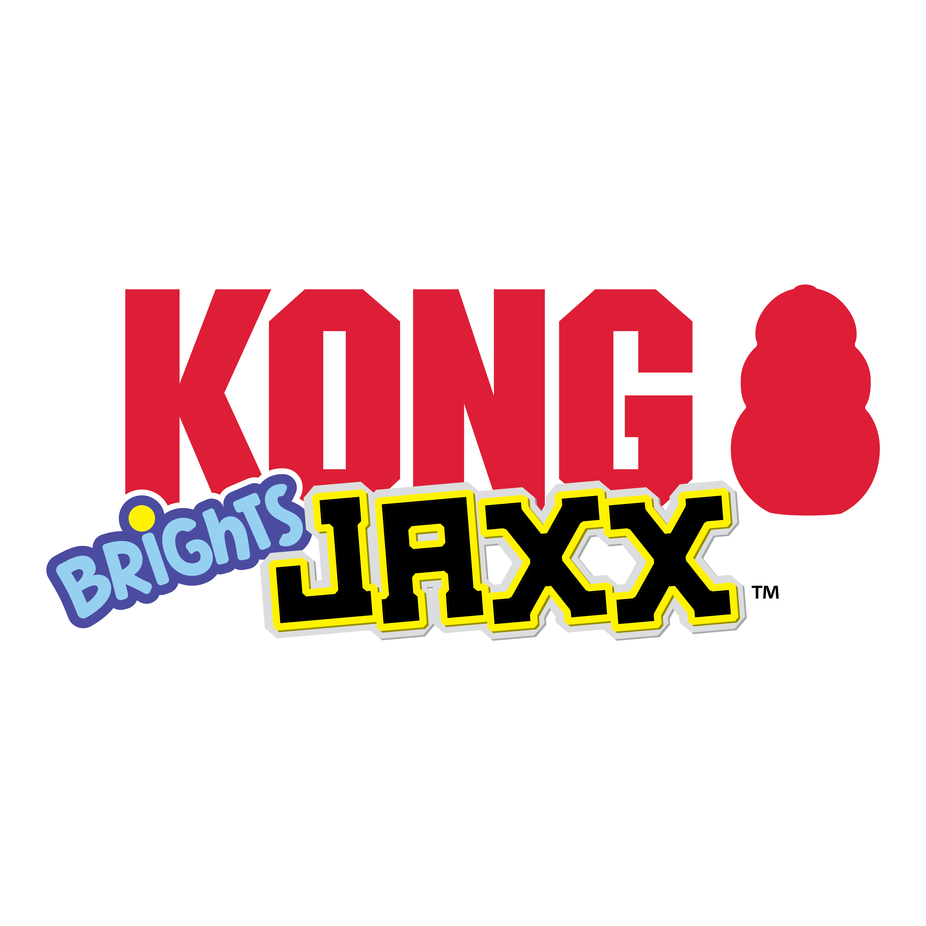 KONG Jaxx Brights Tug Ball Dog Toy with Rope Handle
