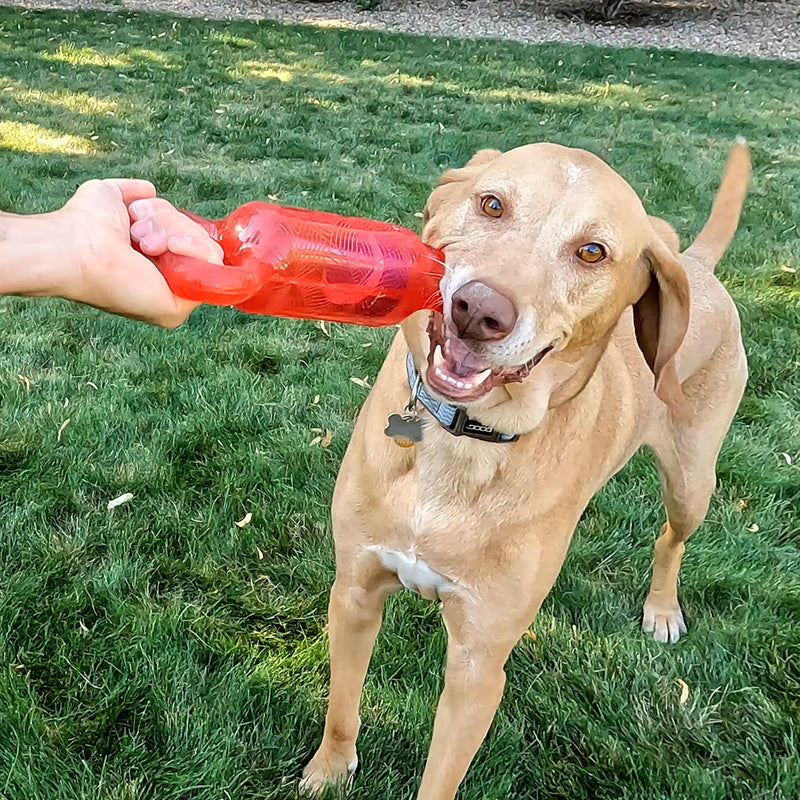 KONG Jumbler Tug Bone Dog Toy with Squeaker and Handles