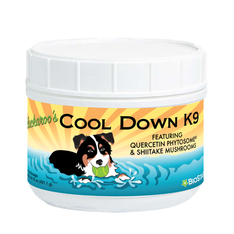 Dog Cooling Supplement Powder with Quercefit® and Superfoods, 30 Servings