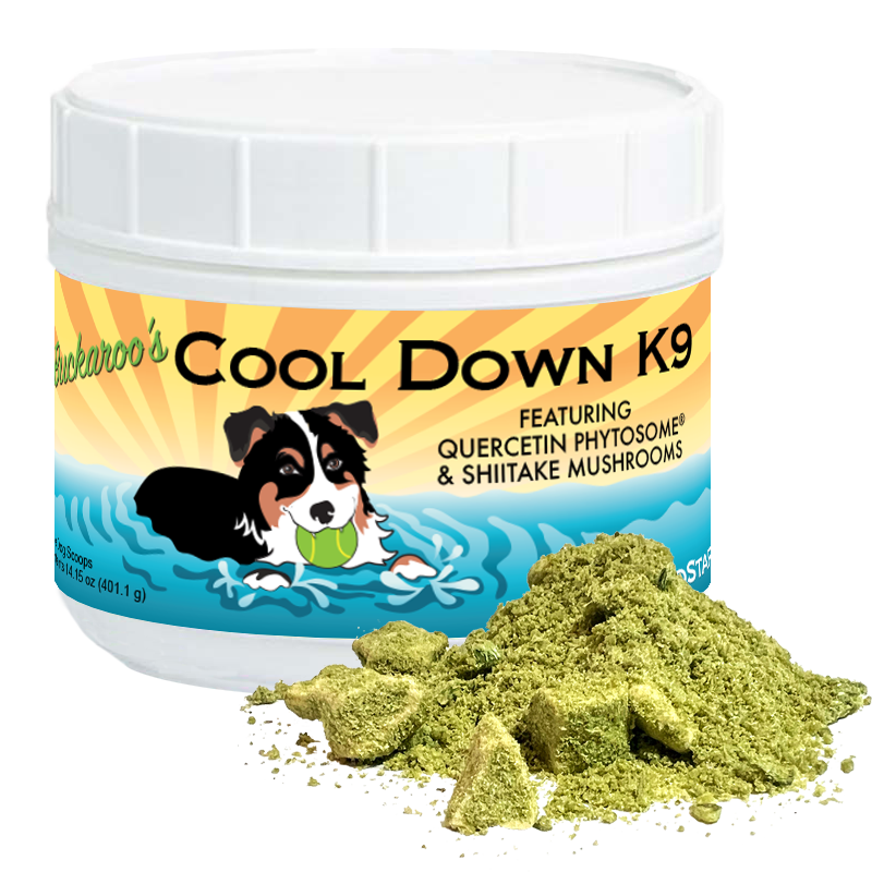 Dog Cooling Supplement Powder with Quercefit® and Superfoods, 30 Servings