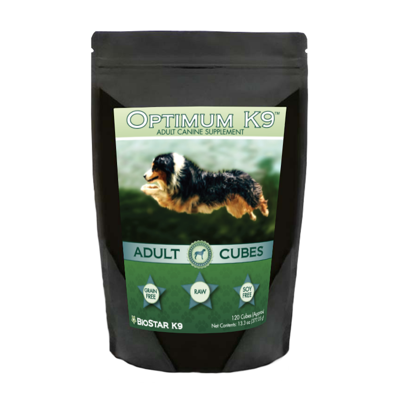Dog Supplement with Pumpkin, Flax, and Sea Vegetables