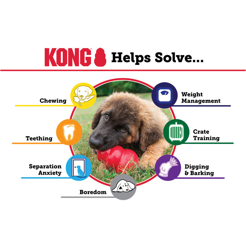 KONG Classic Durable Dog Chew Toy, Red Rubber