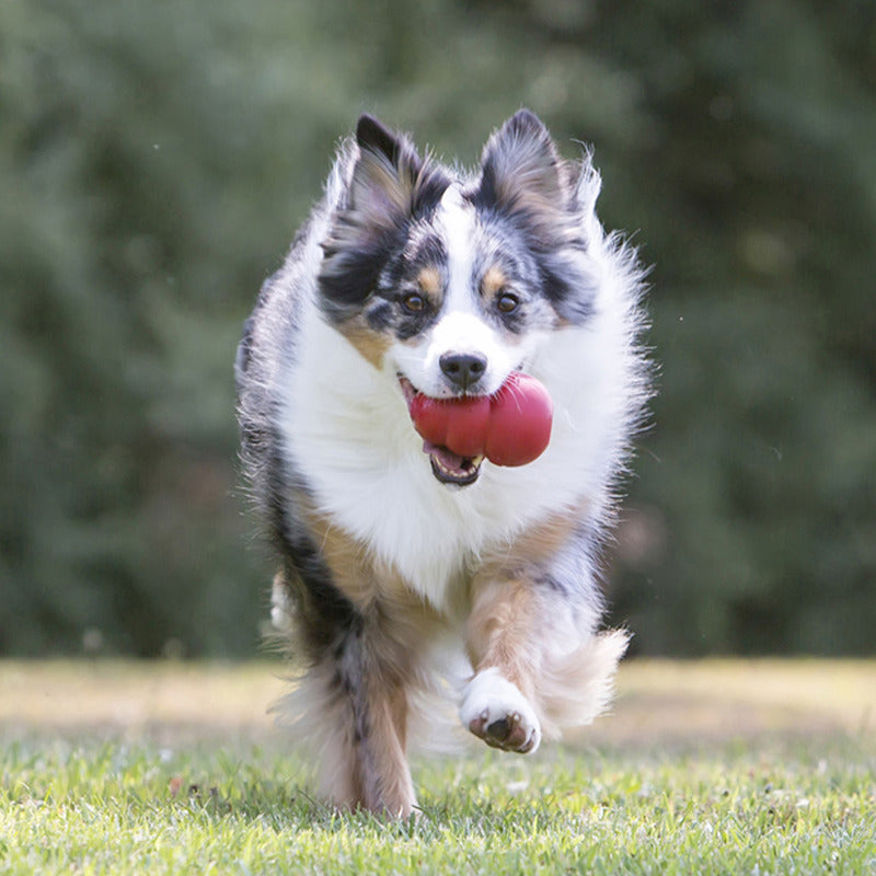 KONG Classic Durable Dog Chew Toy, Red Rubber