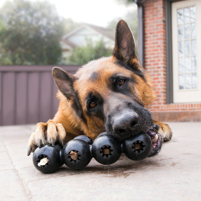 KONG Extreme Rubber Bone Dog Toy with Treat Spaces