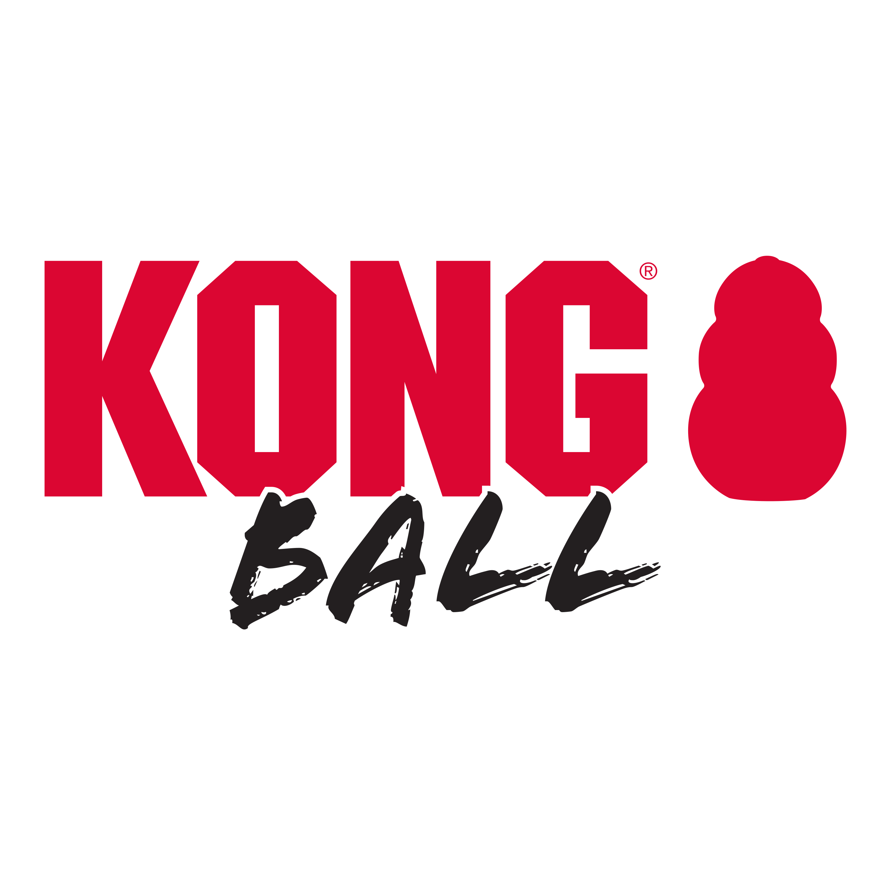 KONG Extreme Ball Durable Rubber Dog Toy