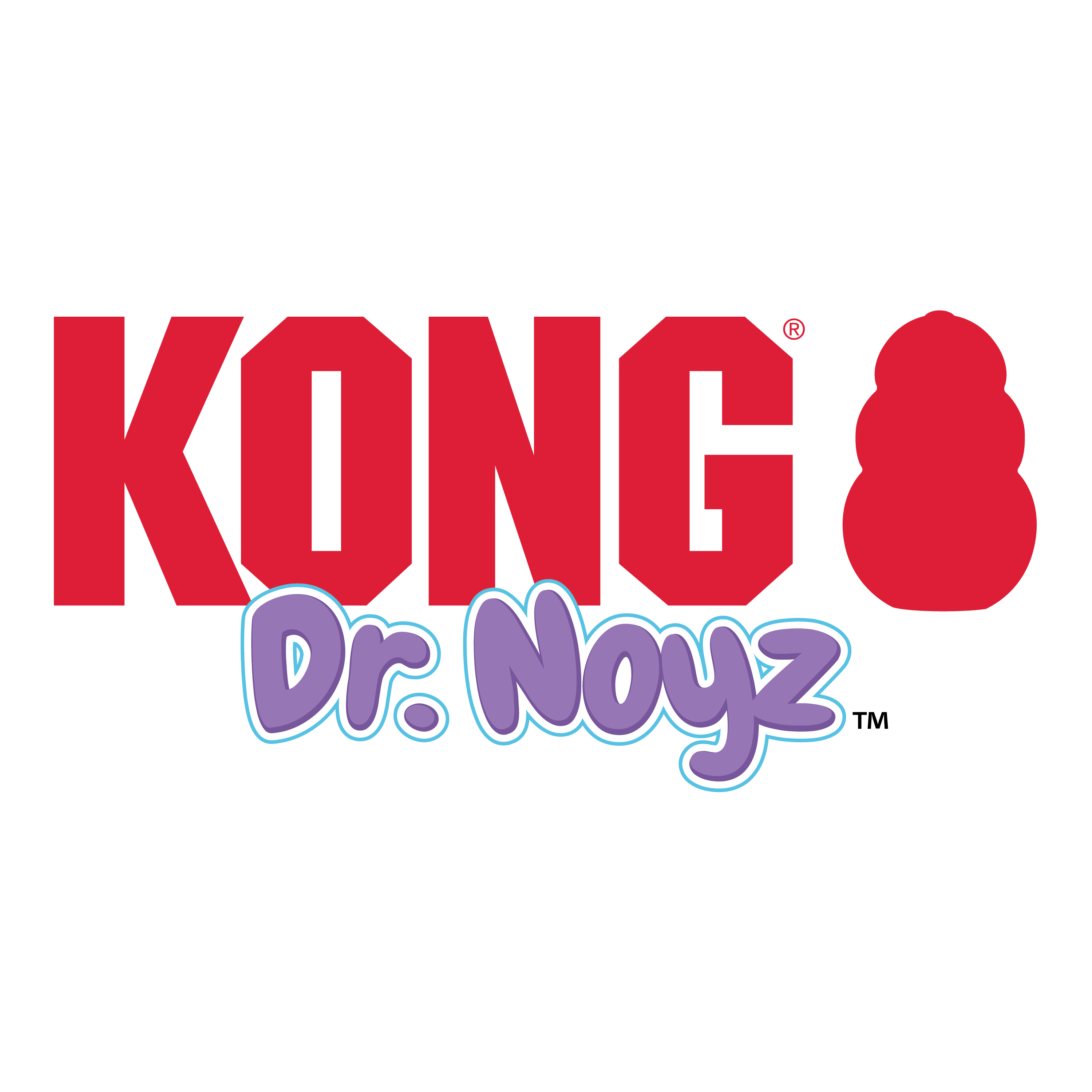 KONG Dr. Noyz Duck Plush Dog Toy with Removable Squeaker