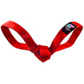 Lucky Dog Love Bird Seatbelt Tug Toy – Red, 12"