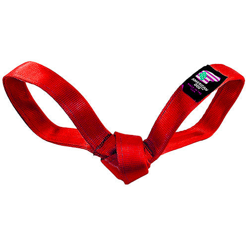 Lucky Dog Love Bird Seatbelt Tug Toy – Red, 12"