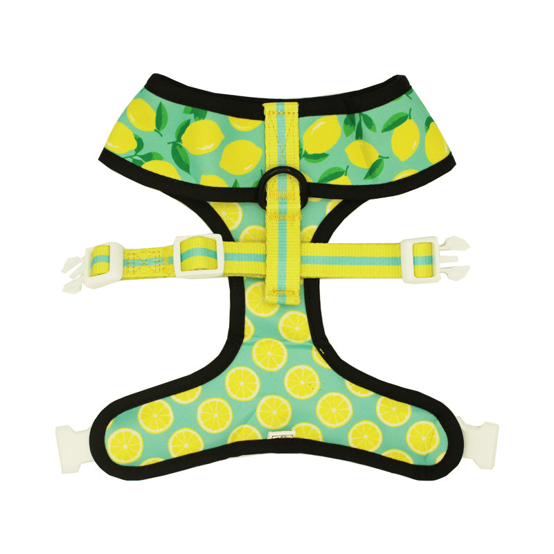Worth The Squeeze Reversible Dog Harness – Lemon Print