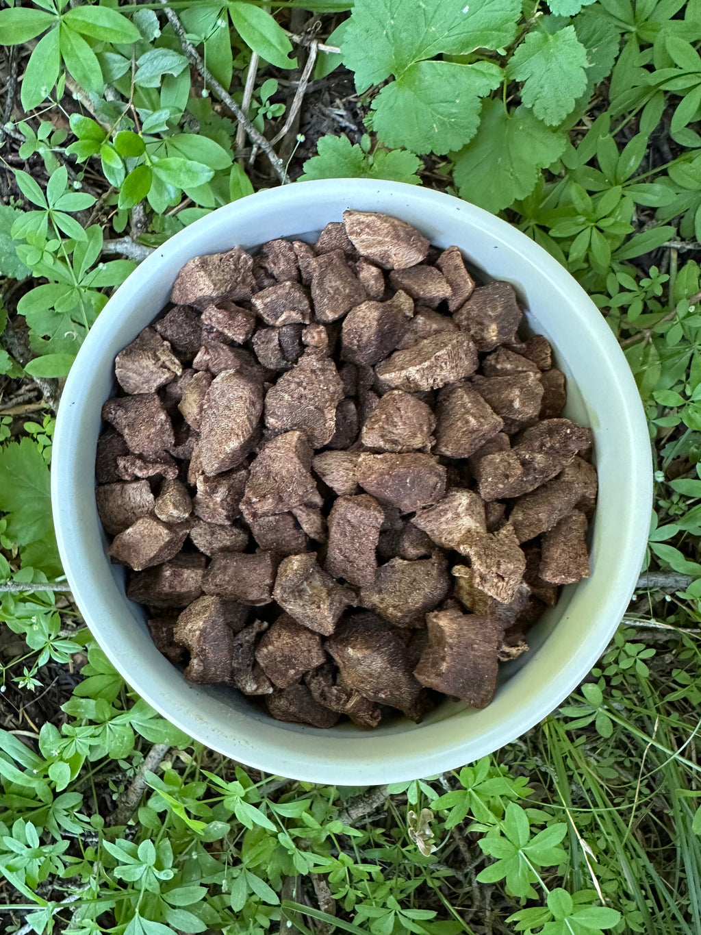 Lucky & Friends Freeze-Dried Beef Liver Dog Treats