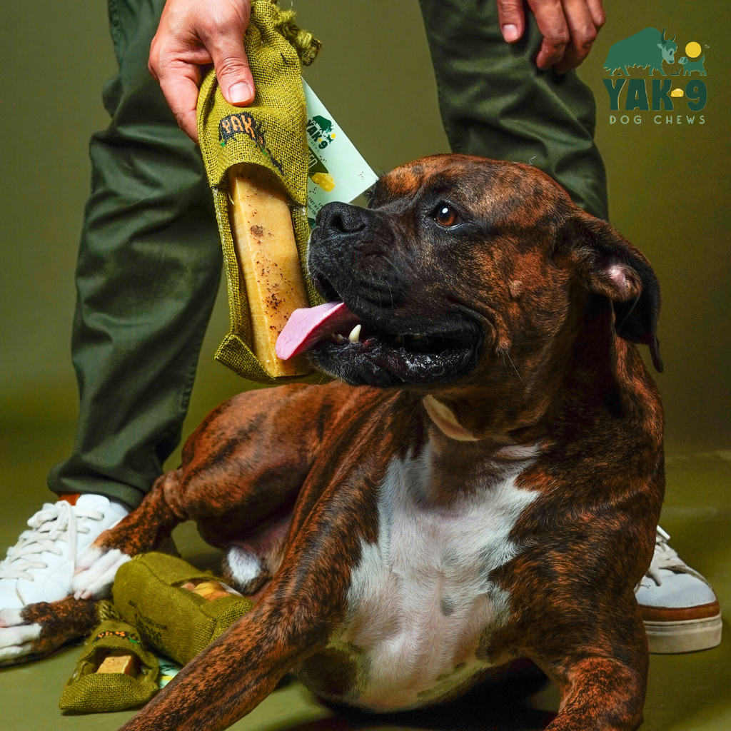 Yak9 Flaxseed & Mint Yak Chews for Dogs