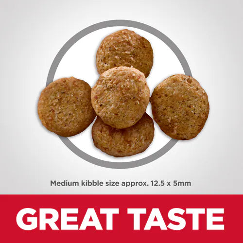 Chicken Dry Dog Food for Less Active Adult Dogs