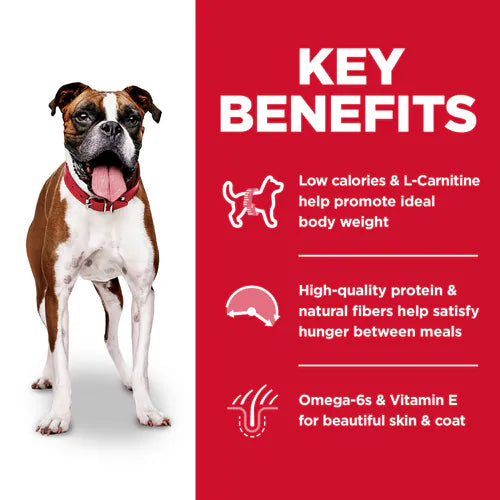 Chicken Dry Dog Food for Less Active Adult Dogs