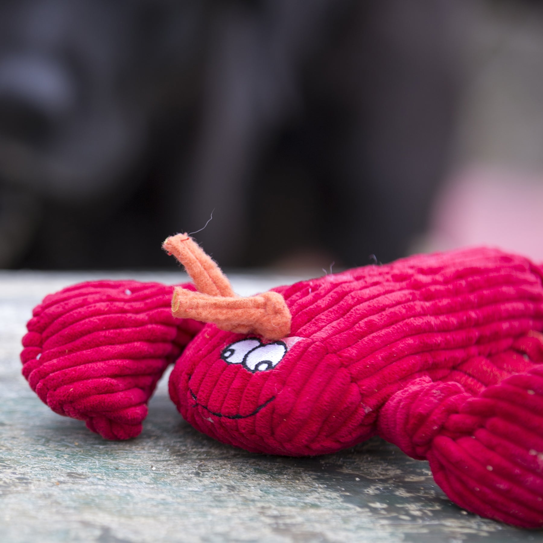 Plush Knotted Dog Toy with Squeakers – Tuffut Technology®
