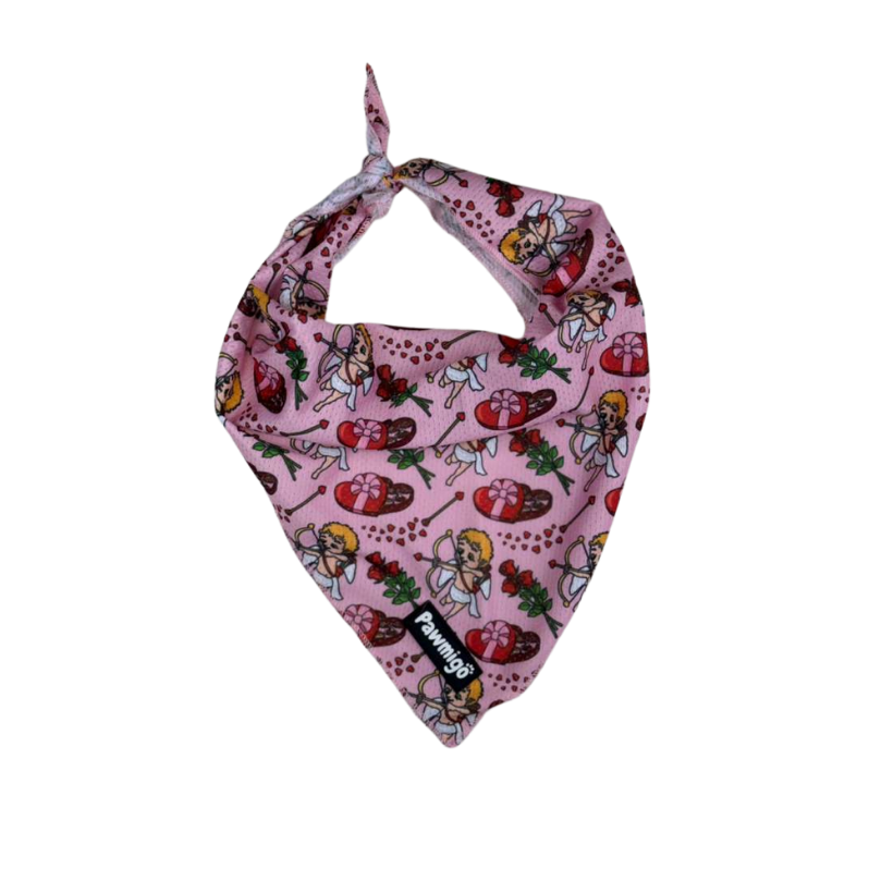 Lovestruck Dog Bandana – Soft, Breathable, Playful Design