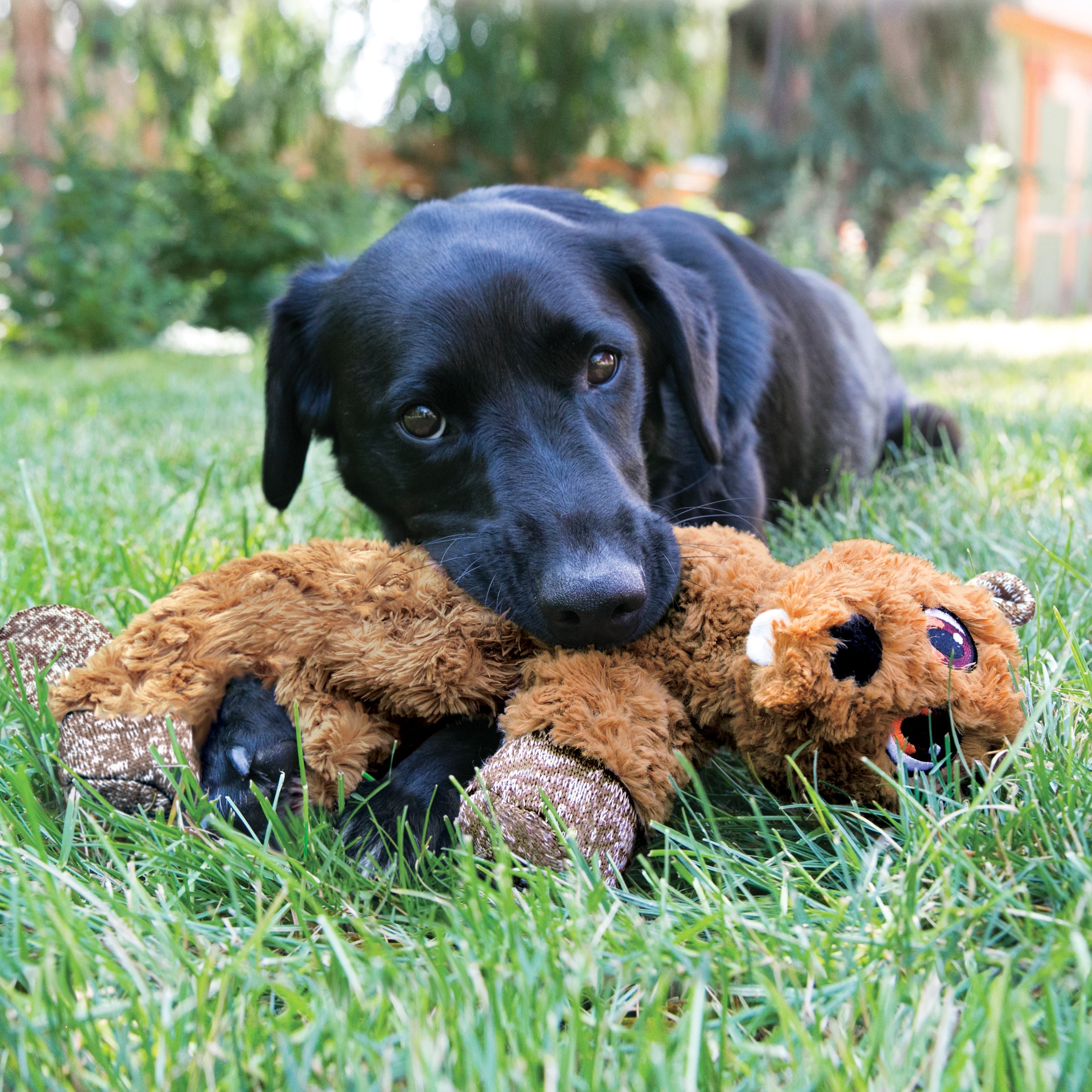 KONG Low Stuff Flopzie Lamb Dog Toy
