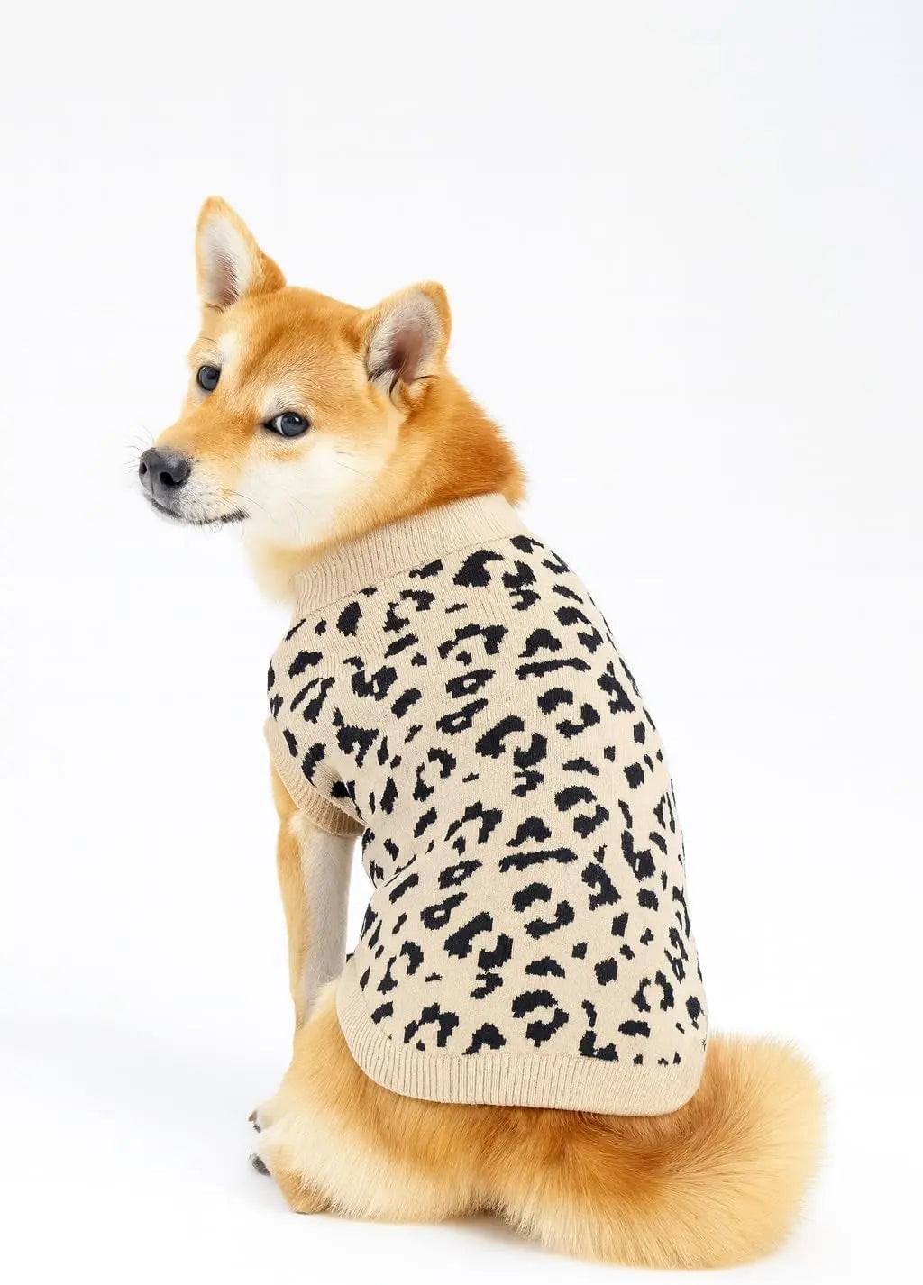 Luxury Knit Dog Sweater for Small Dogs | Warm Designer Pet Outfit (XS–5X)