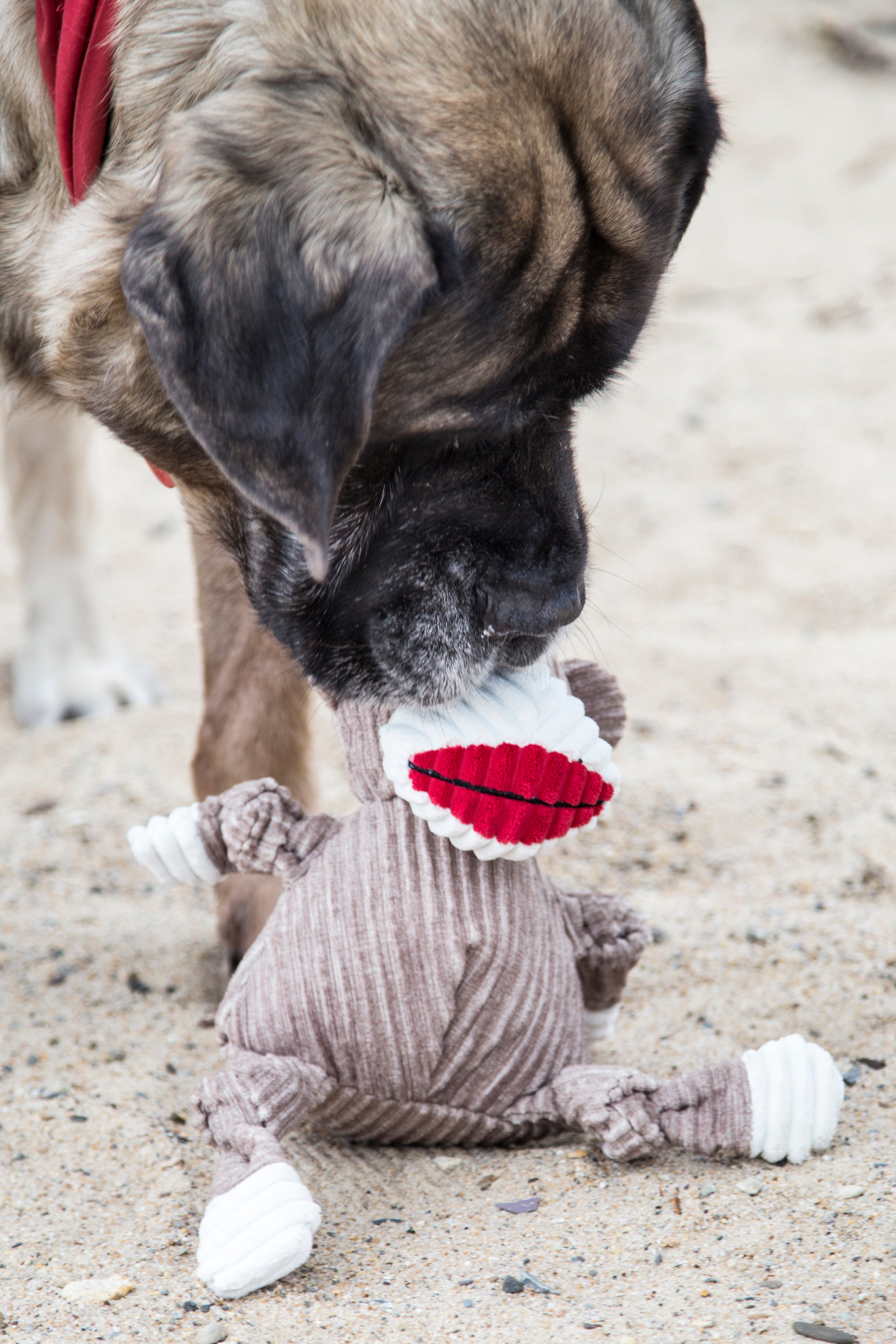 Original Sock Monkey Plush Dog Toy with Knotted Design and Squeakers