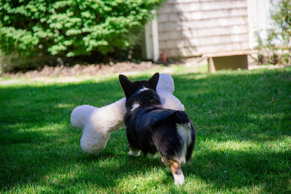 HuggleFleece Bone Dog Toy – Plush Synthetic Lambswool, Squeaker