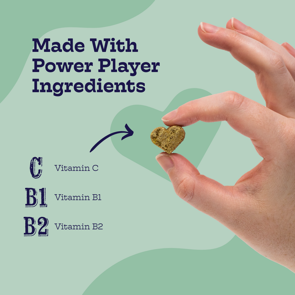 Moe’s Chicken and Waffles Chews for Dogs