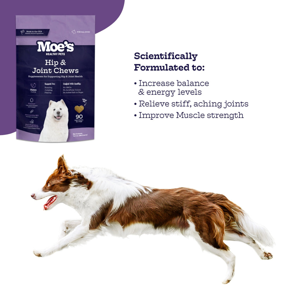 Dog Joint Health Soft Chews with Glucosamine & MSM, Chicken Flavor