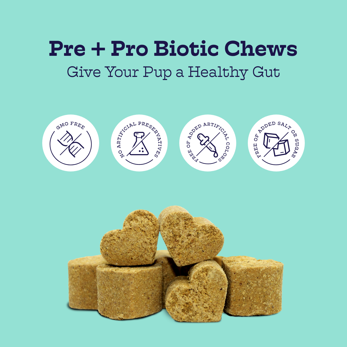 Moe's Pre + Pro Biotic Chews for Dogs with Pumpkin and Ginger