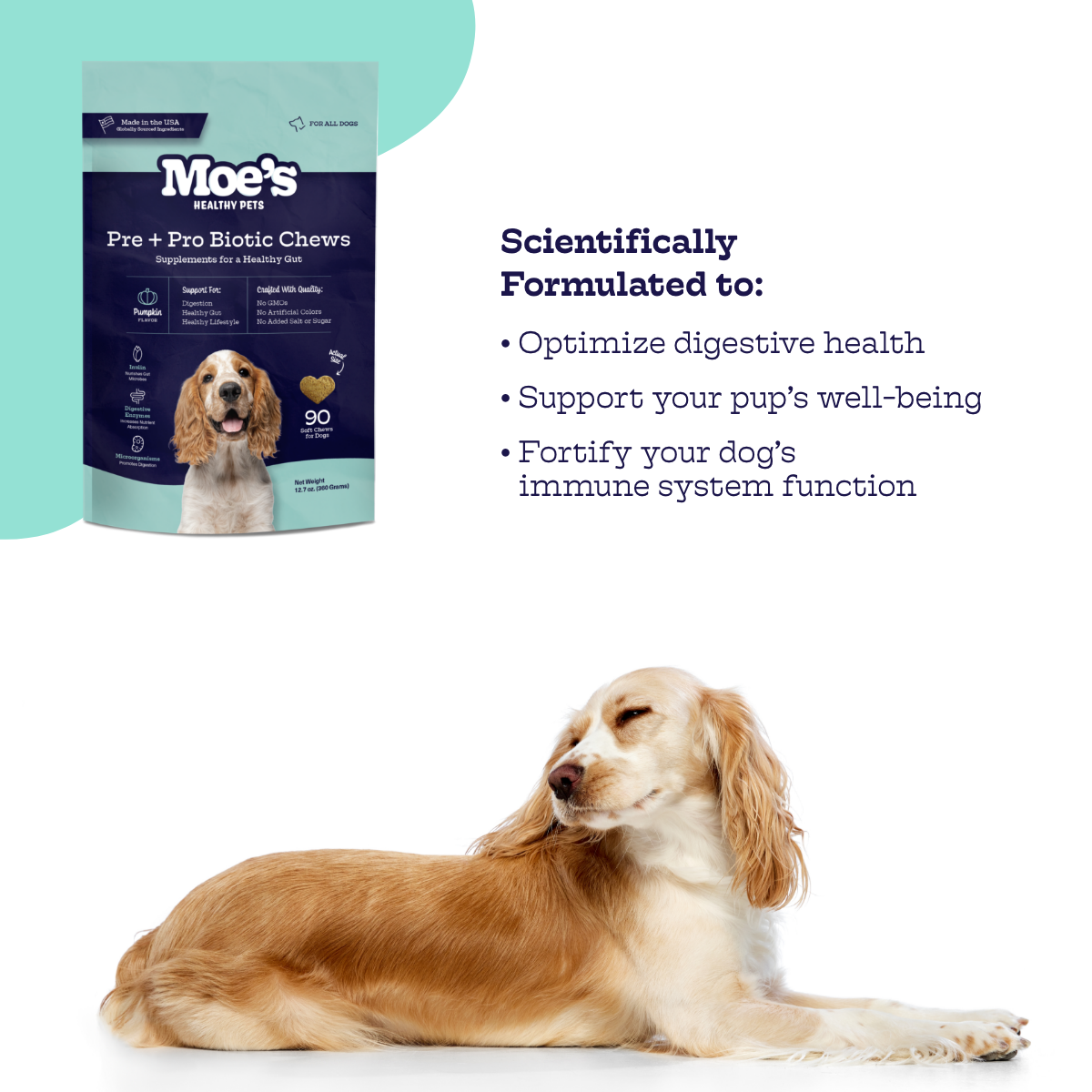 Moe's Pre + Pro Biotic Chews for Dogs with Pumpkin and Ginger