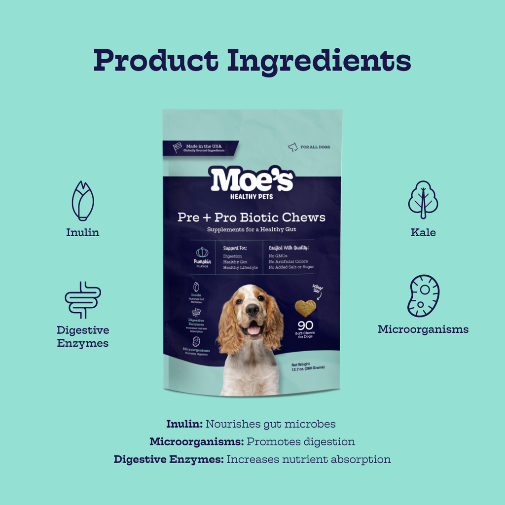 Moe's Pre + Pro Biotic Chews for Dogs with Pumpkin and Ginger