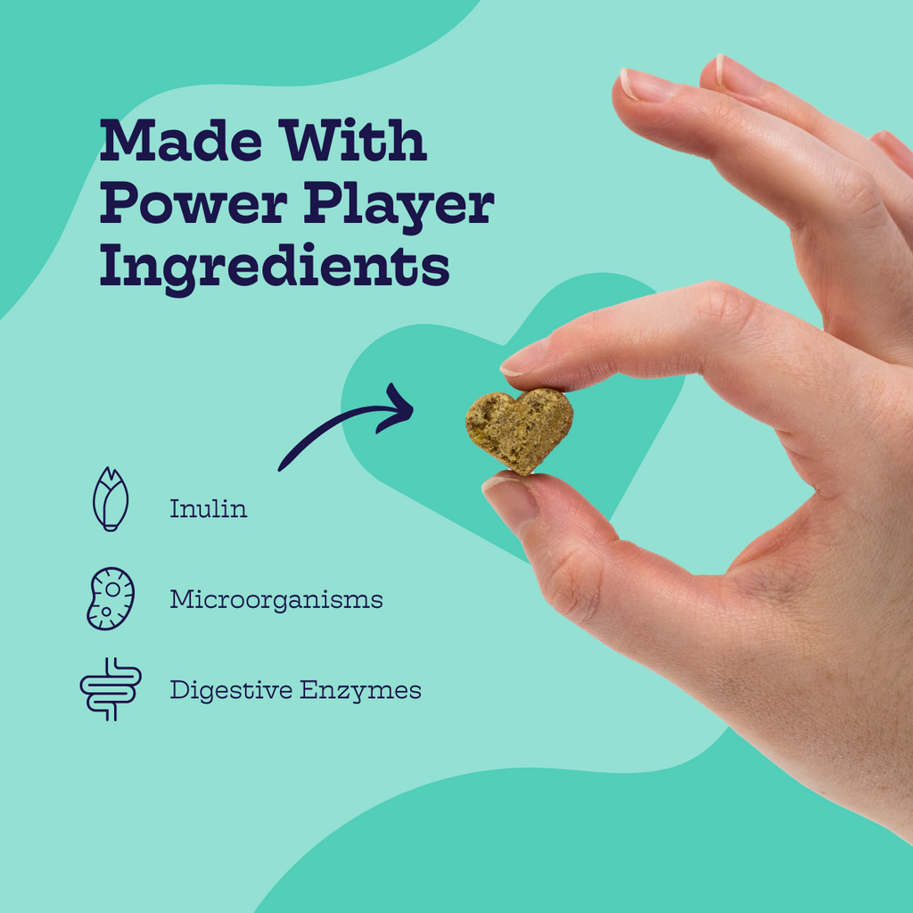 Moe's Pre + Pro Biotic Chews for Dogs with Pumpkin and Ginger