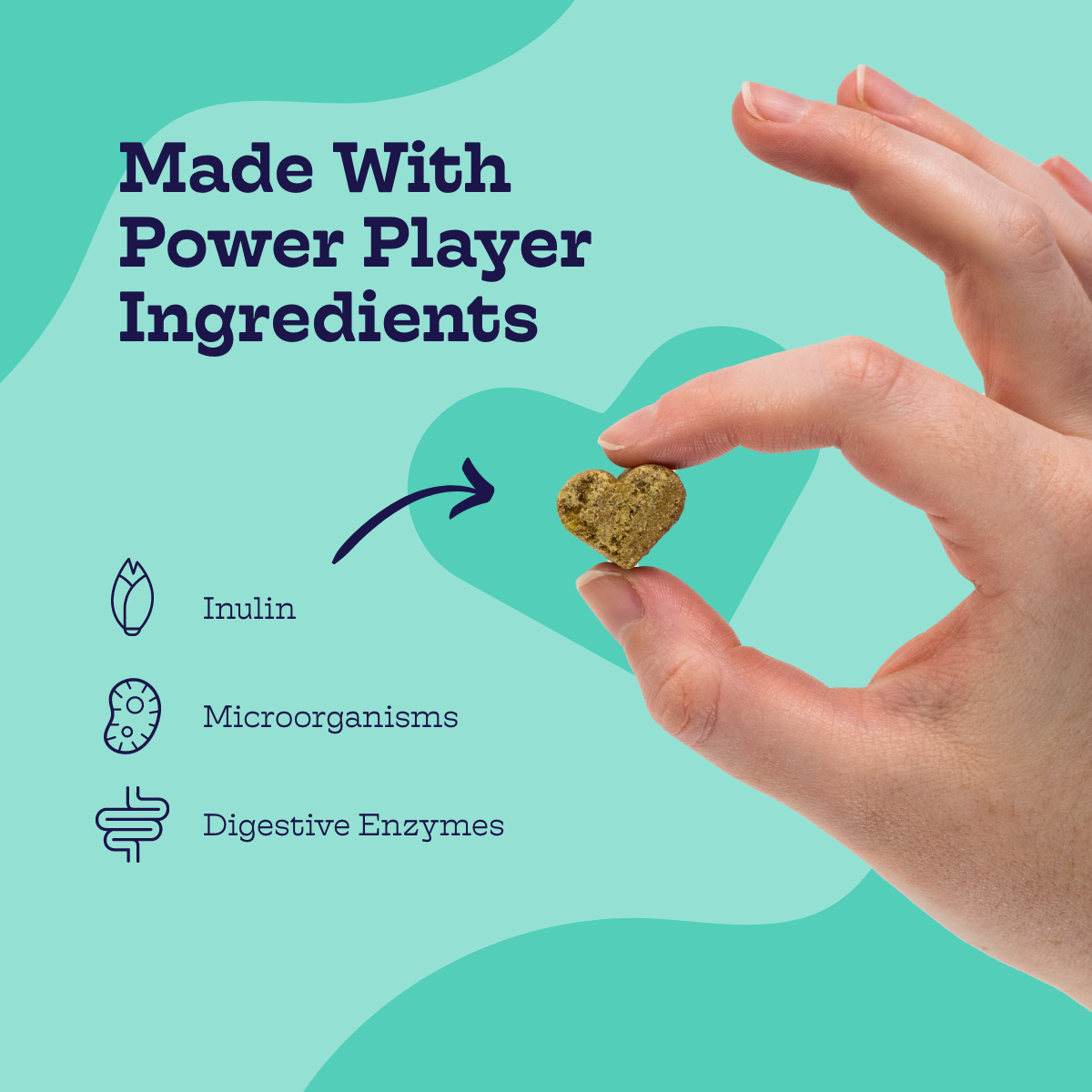 Moe's Pre + Pro Biotic Chews for Dogs with Pumpkin and Ginger