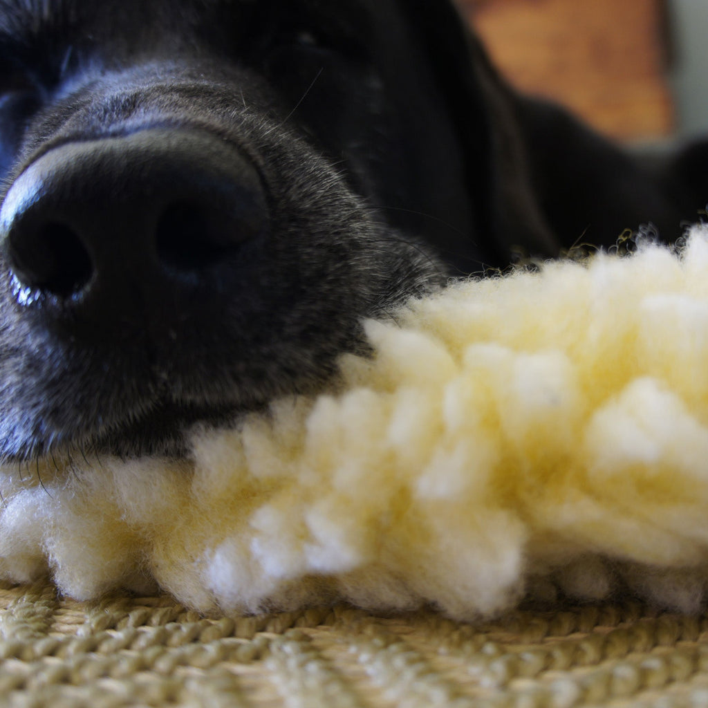 HuggleFleece Mat Stuffing-Free Orthopedic Pet Bed