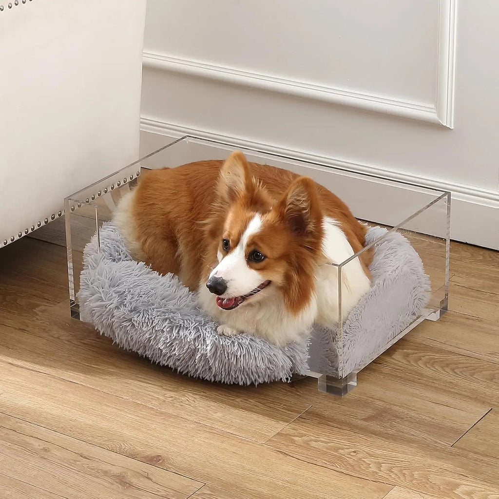Acrylic Pet Bed and Elevated Feeder Set for Cats & Small Dogs