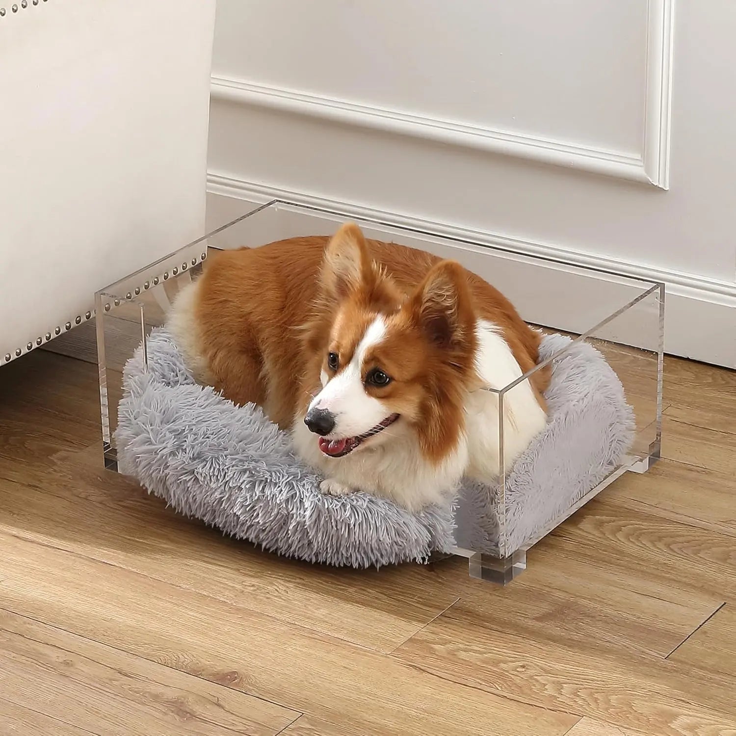 Acrylic Pet Bed and Elevated Feeder Set for Cats & Small Dogs
