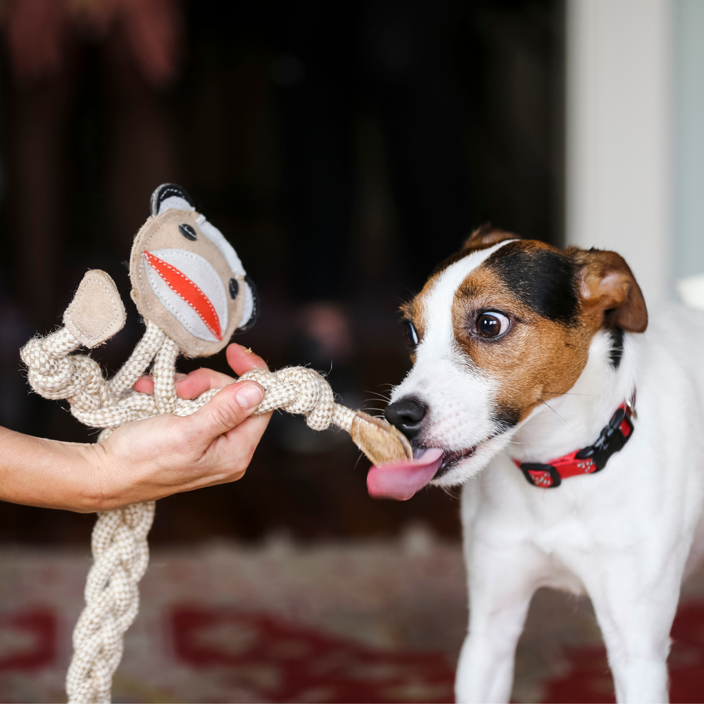 Stuey Sock Monkey Rope Dog Toy – 19" Natural Cotton & Hemp
