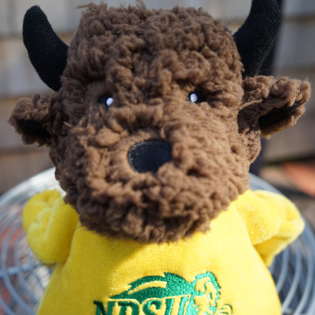 North Dakota State Thundar Knottie Dog Toy – Plush Mascot with Squeakers