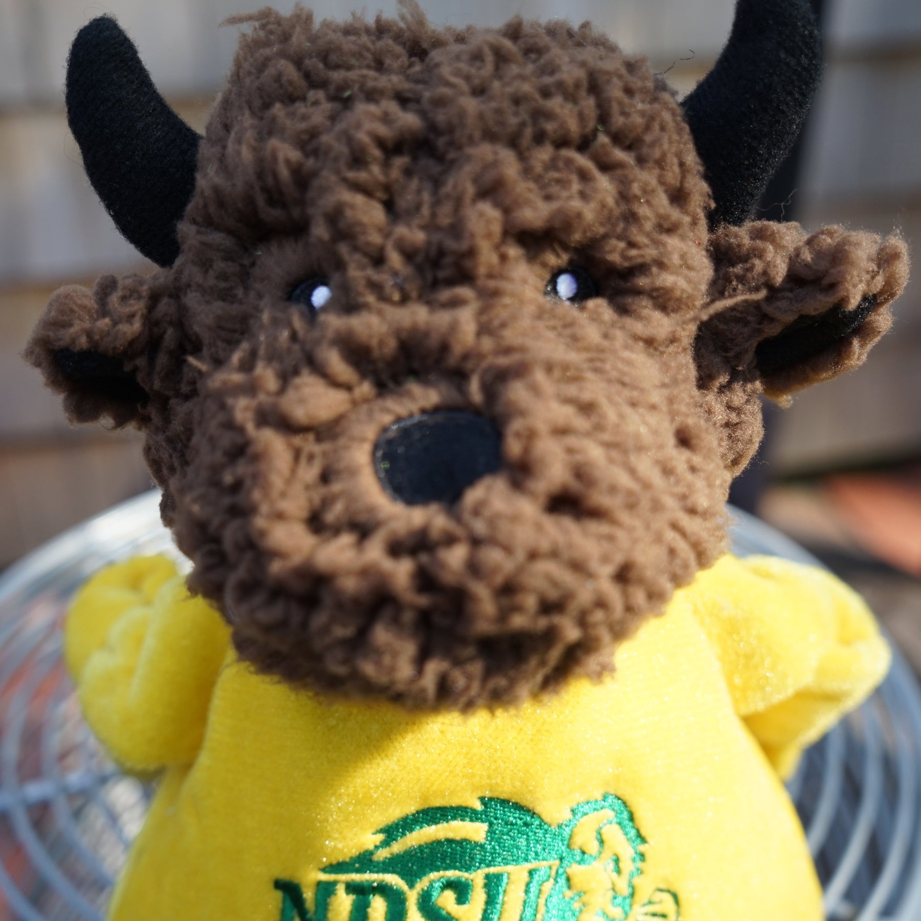 North Dakota State Thundar Knottie Dog Toy – Plush Mascot with Squeakers