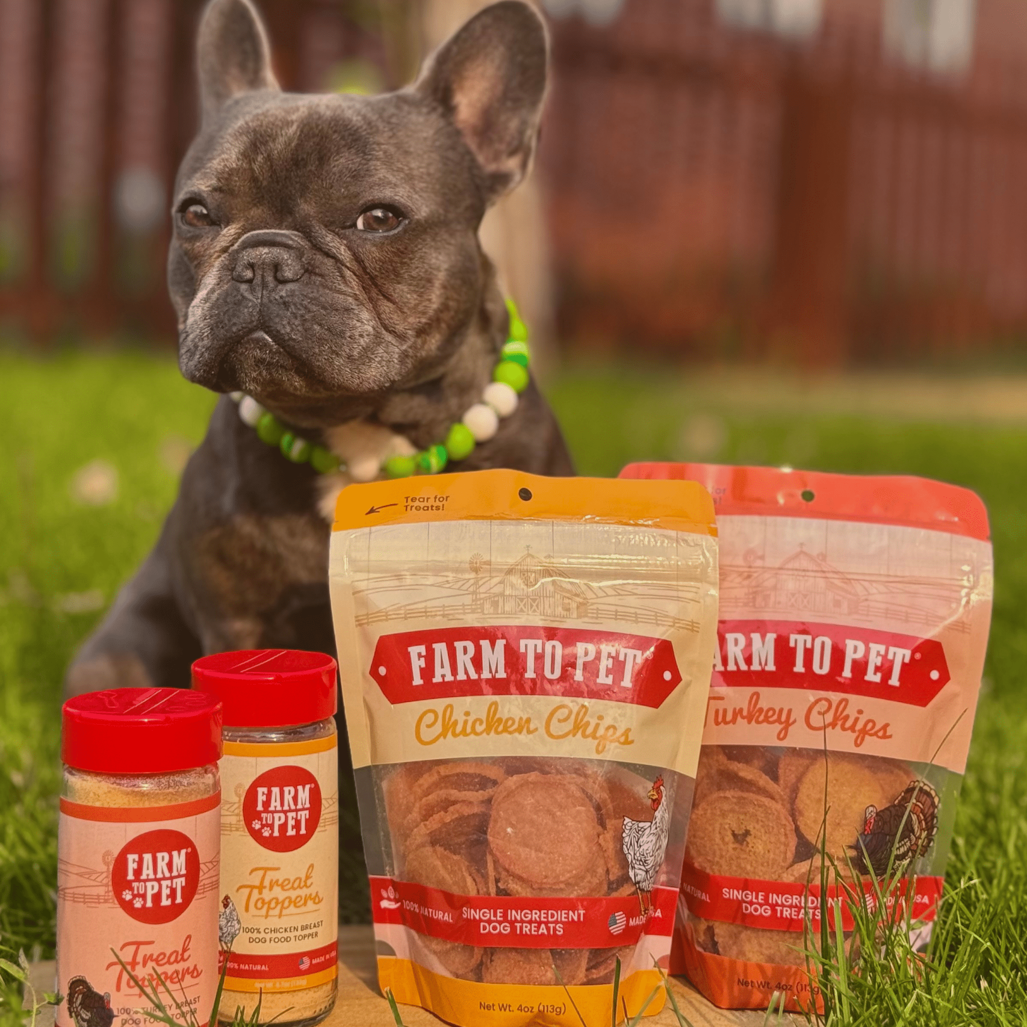 Chicken & Turkey Treat Topper Combo for Dogs and Cats, 2 x 4.7 oz