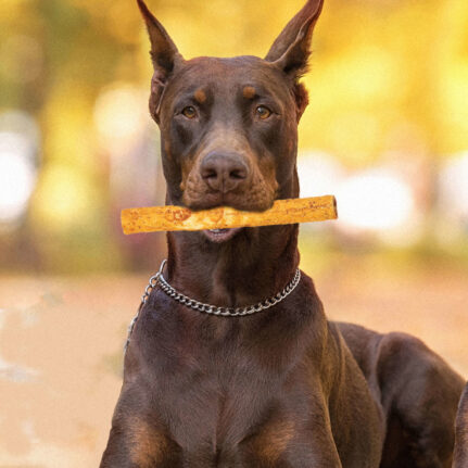 Peanut Butter Dog Chews – Highly Digestible, No Rawhide