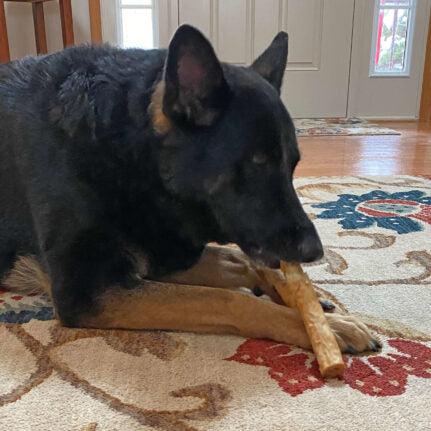 Peanut Butter Dog Chews – Highly Digestible, No Rawhide