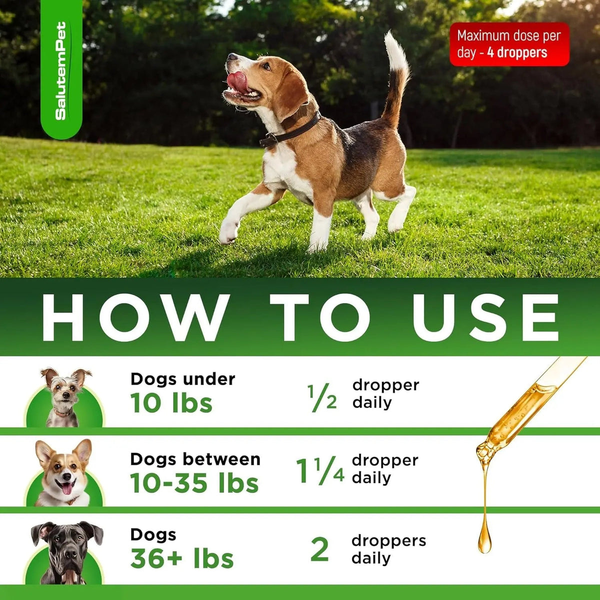Natural Herbal Wellness Drops for Dogs – Chicken & Bacon Flavor