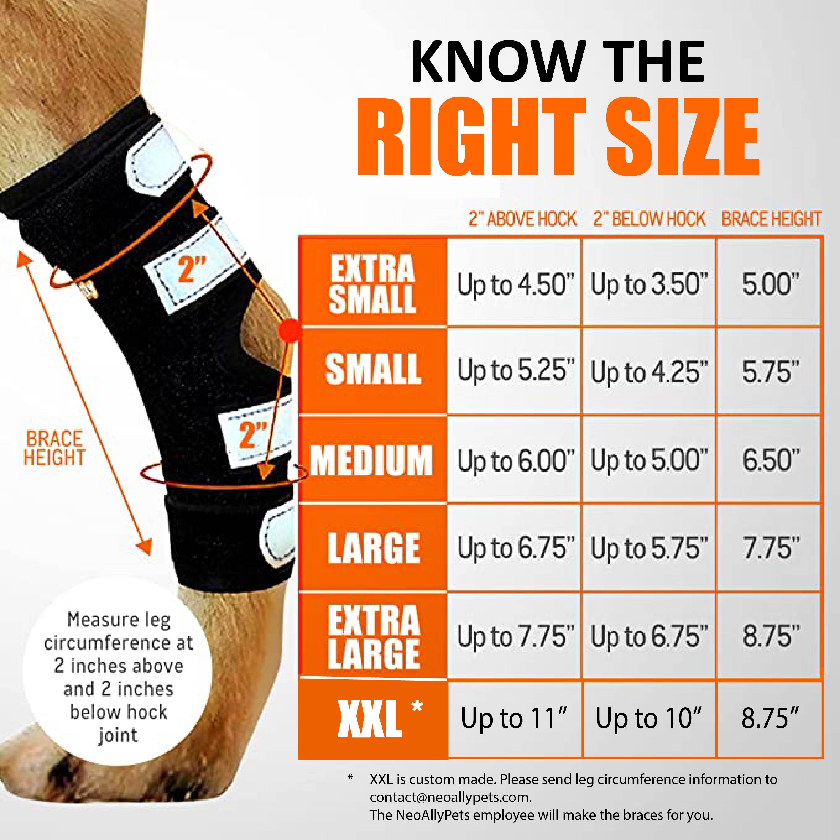 Rear Leg Braces for Dogs with Interchangeable Metal Support