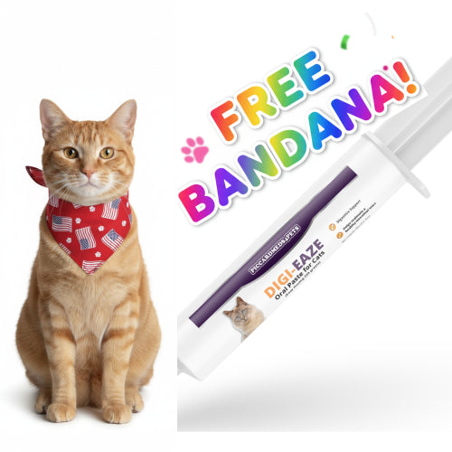 Feline Probiotic Paste with Syringe, 220g + Free Red Bandana