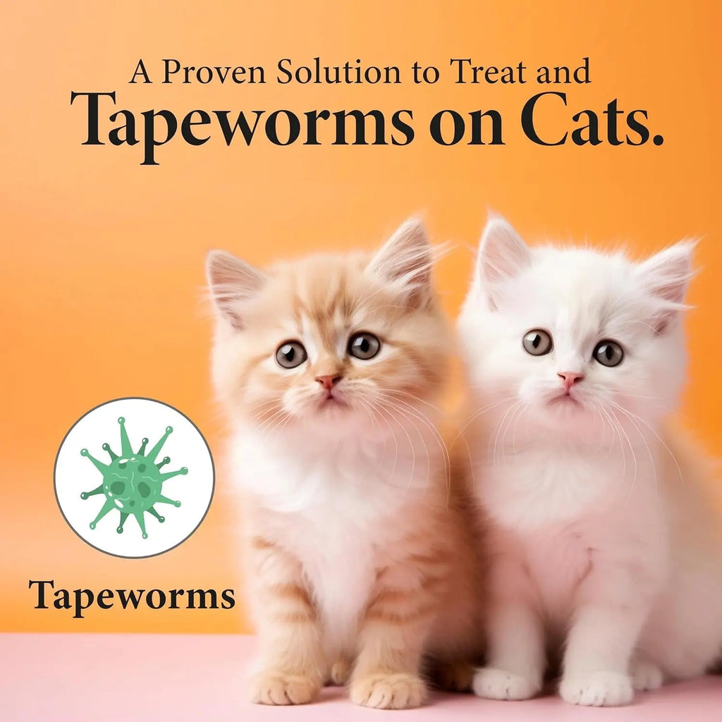 Cat and Kitten Liquid Dewormer with Dropper, Oral Supplement