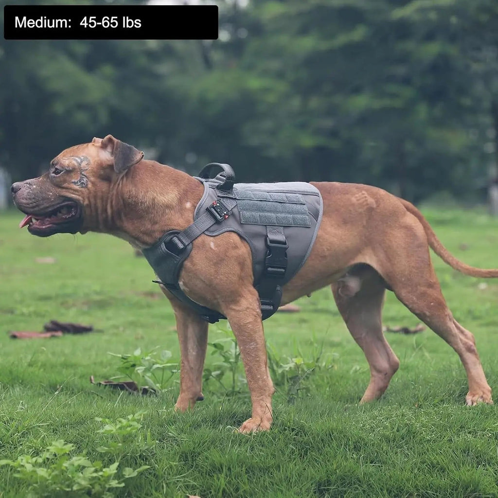 No-Pull Tactical Dog Harness with Handle and MOLLE System