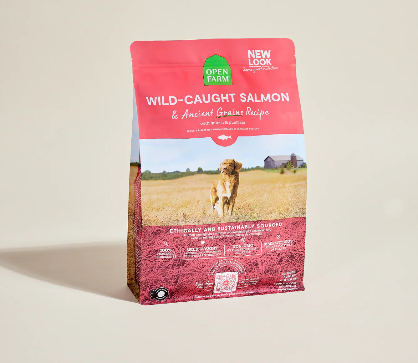 Salmon & Ancient Grains Dog Food with Superfoods